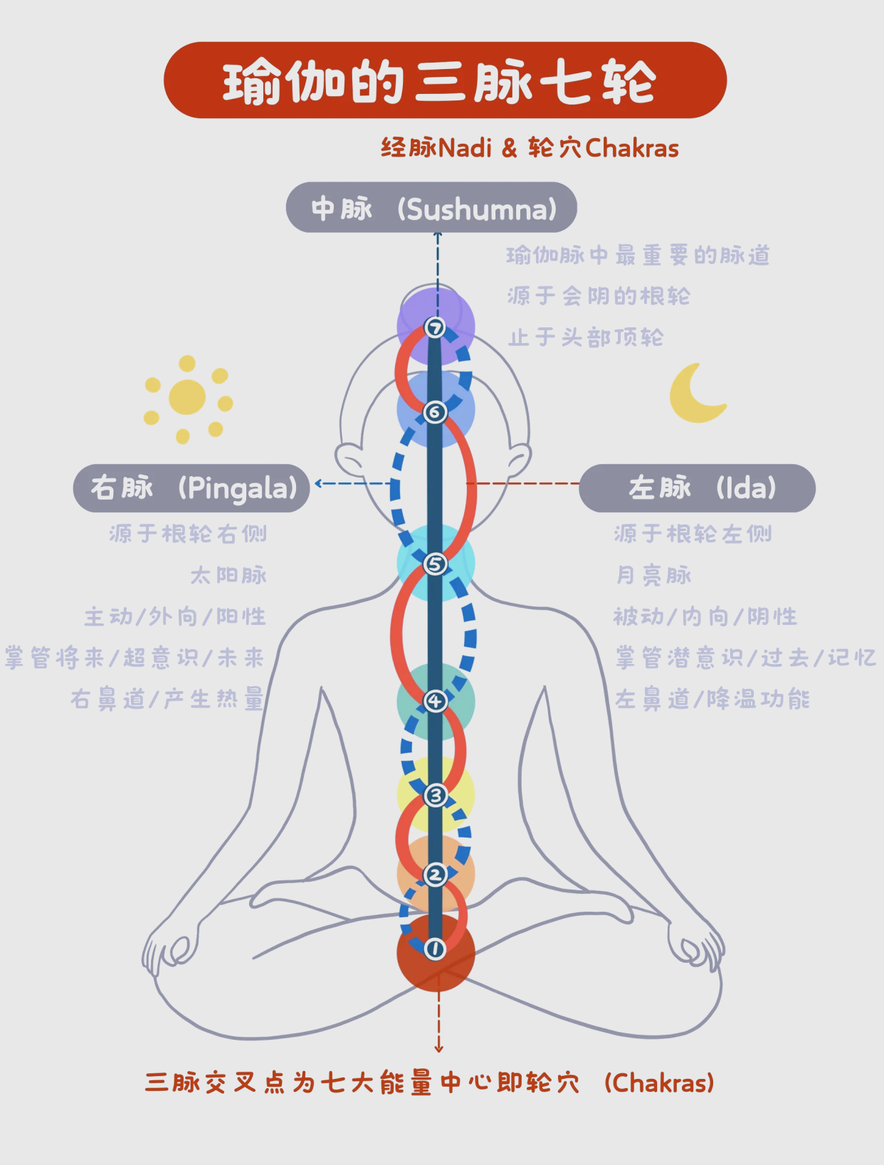 🧘瑜伽三脉七轮全解析📖