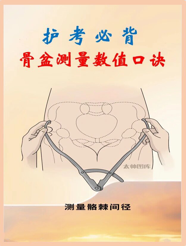 骨盆测量口诀|实习护士|2024护考|速收藏!