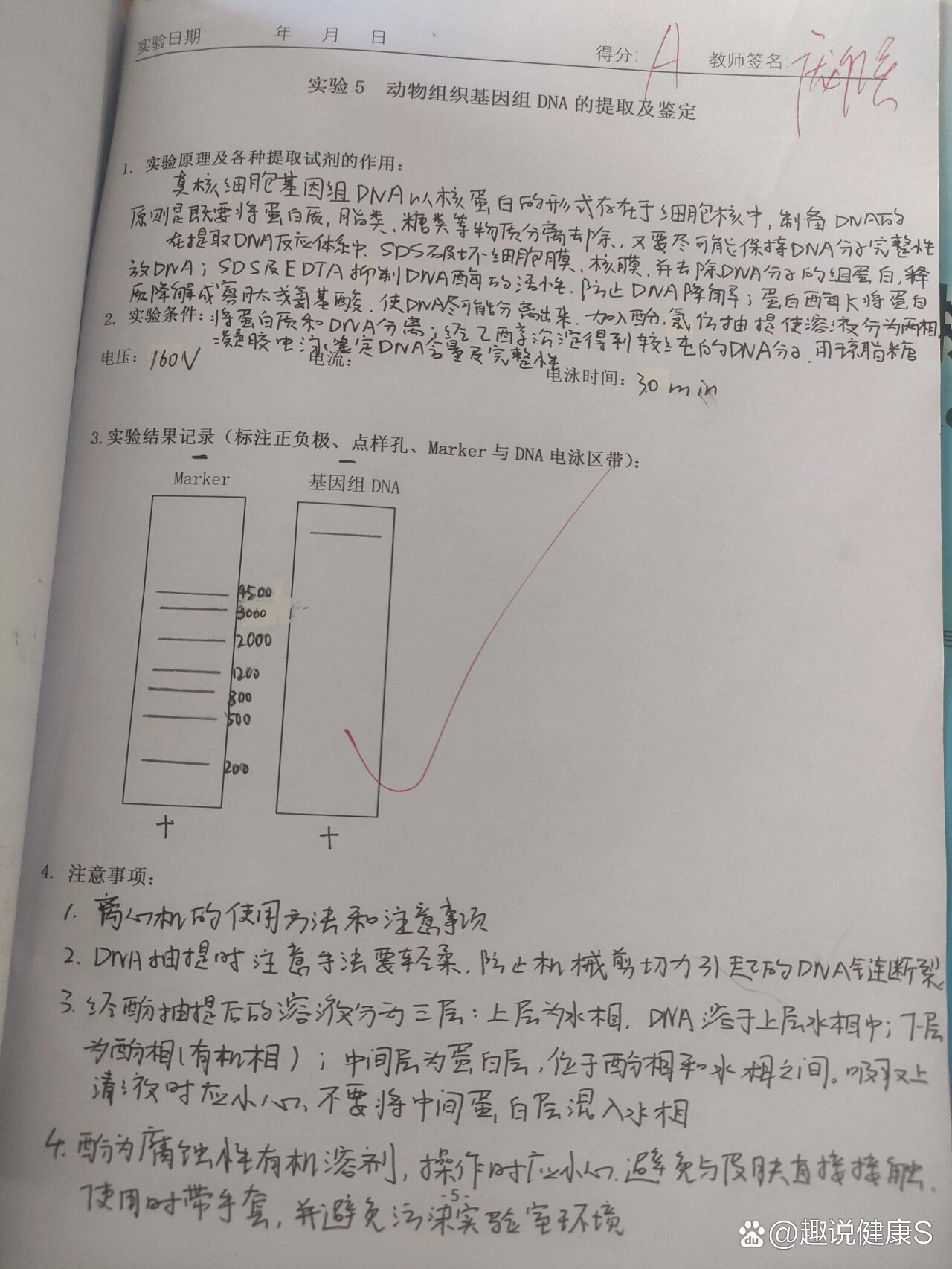 组织鉴定范文(组织鉴定范文民警)
