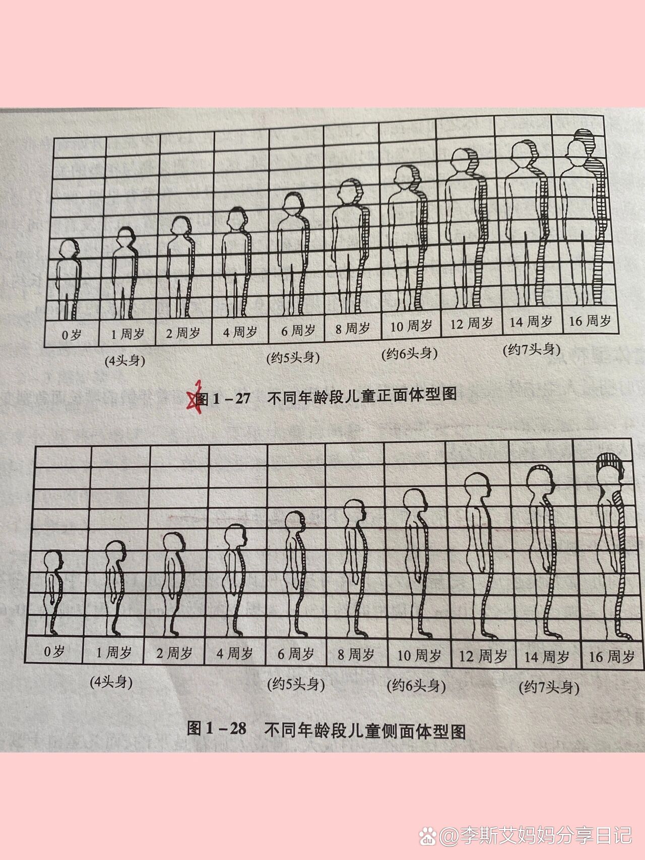 第四期:儿童体型:看看宝宝们都几头身吧