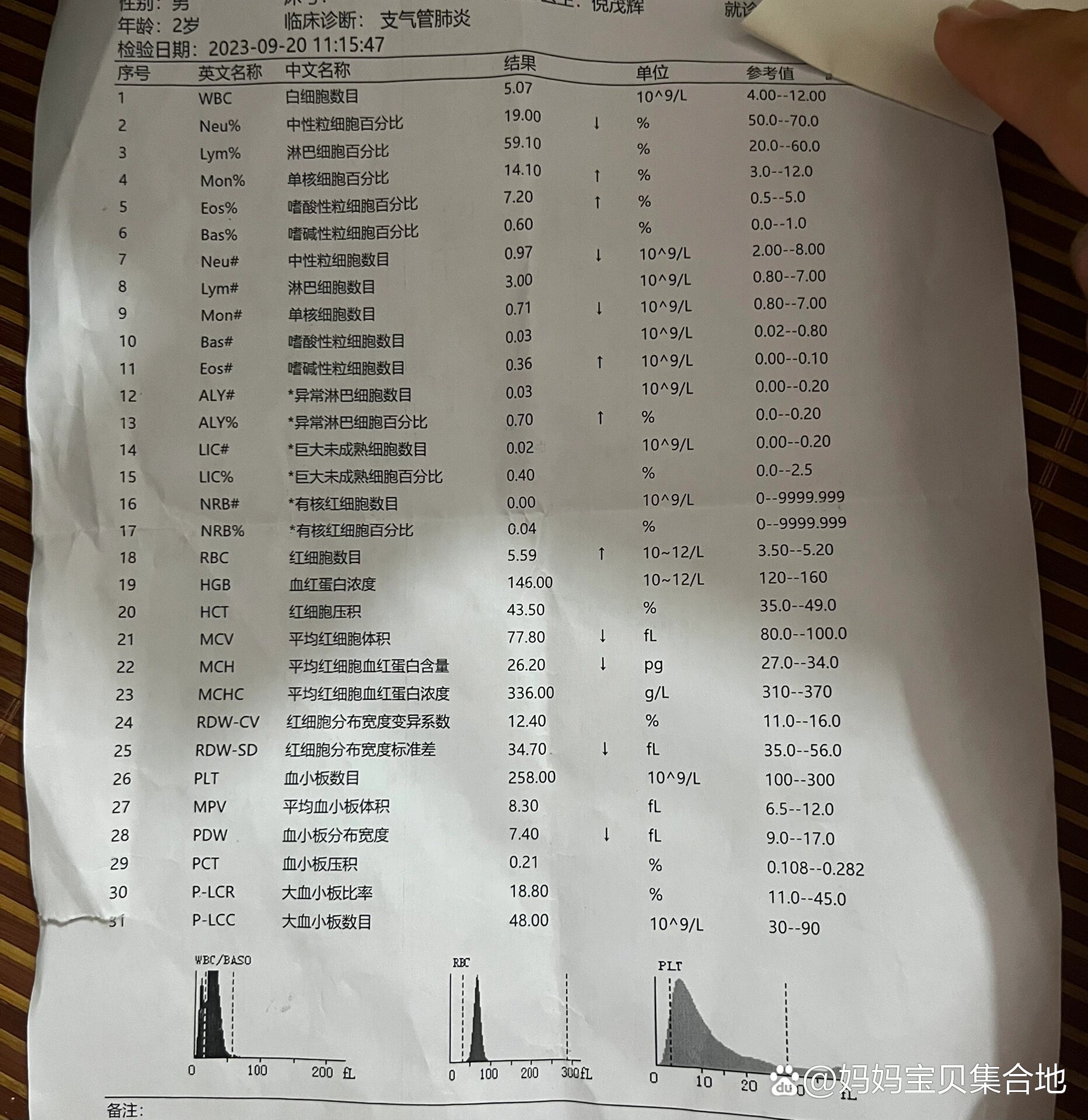 儿童血常规化验单图片图片