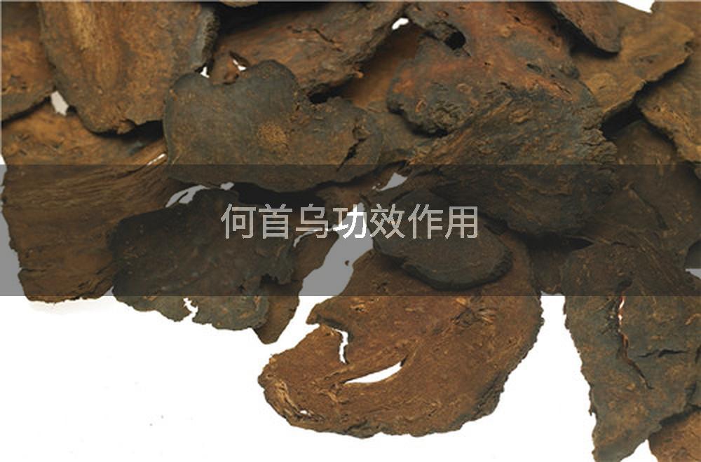 何首乌功效作用