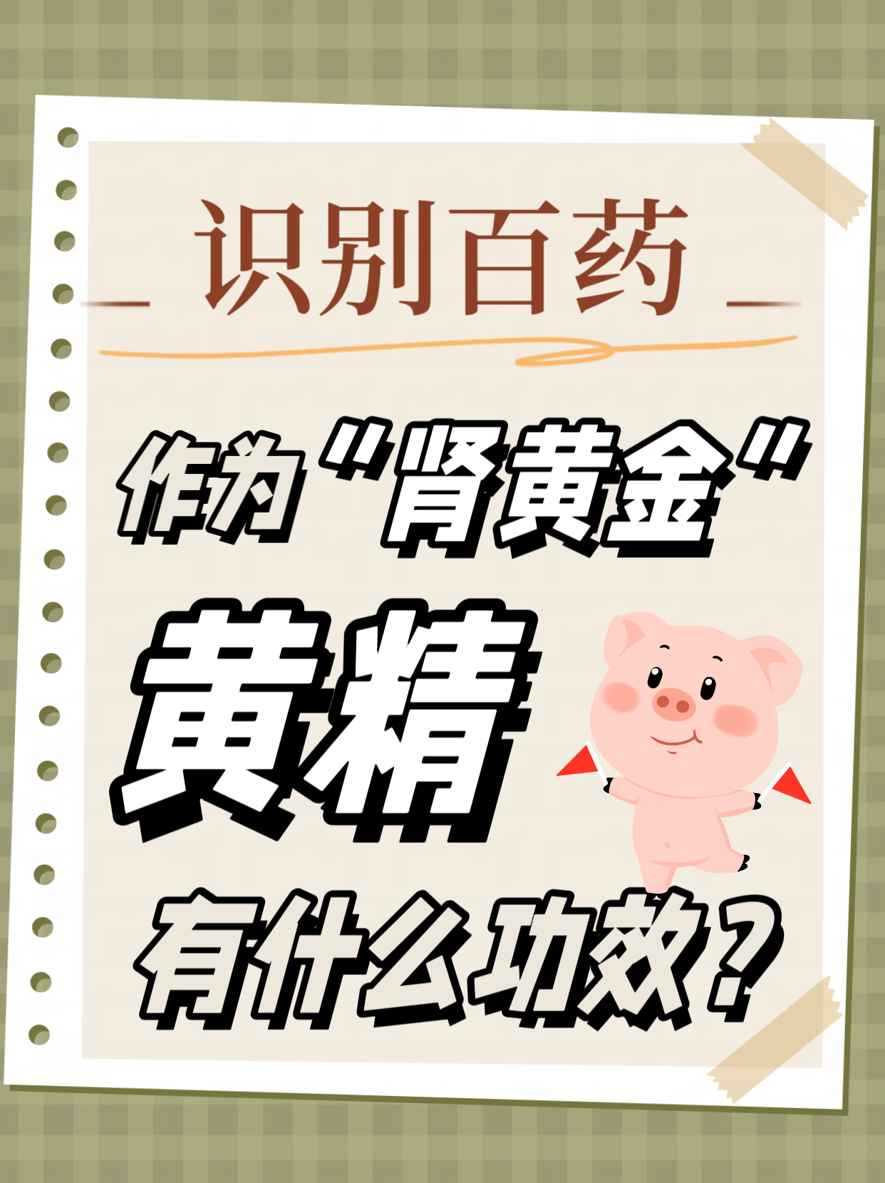 不知道大家有没有听说过黄精,这味中药有着"肾黄金
