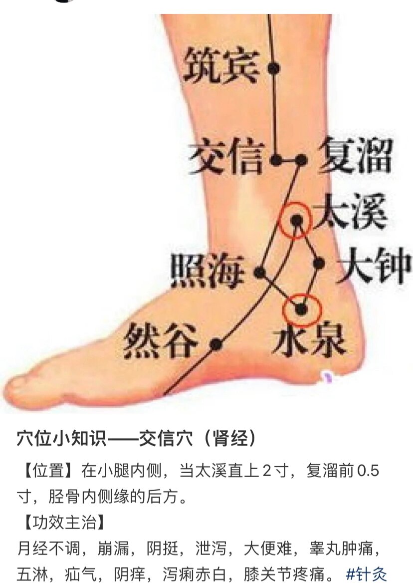 肾经在脚上的六个穴位 太溪