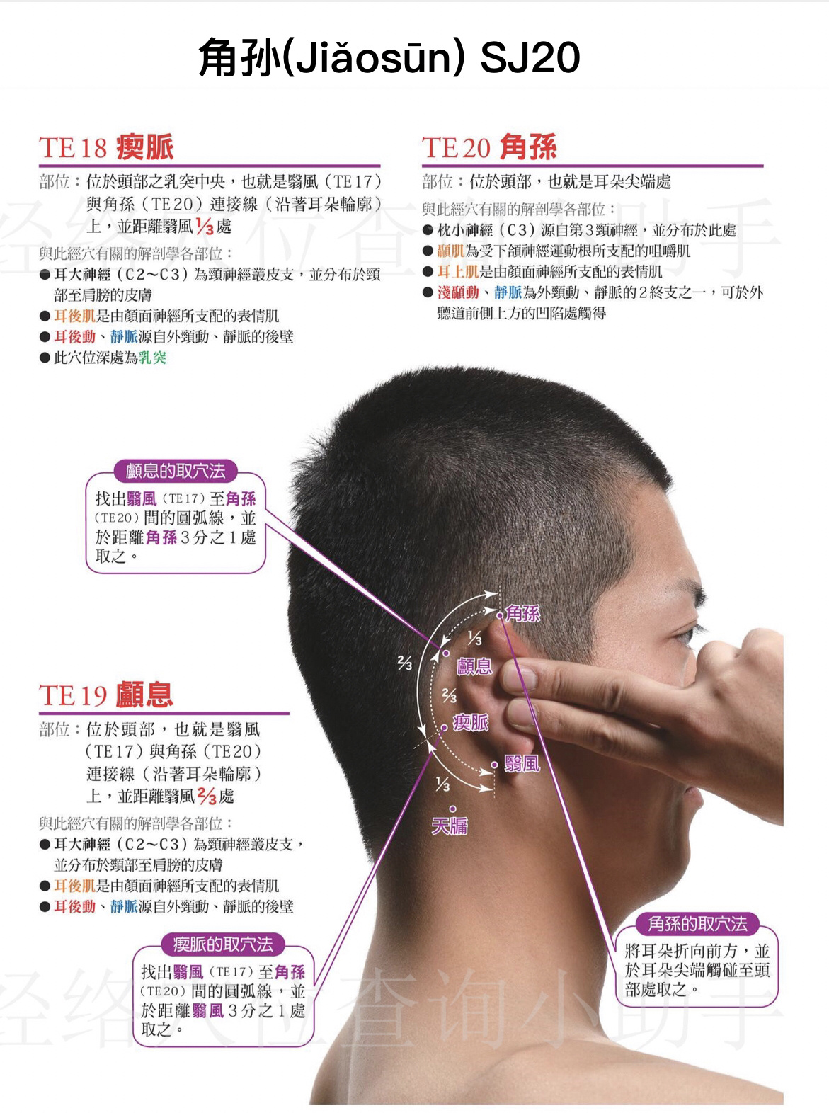 手少阳三焦经第20穴  br 特定穴 br 否 br  主治病症  br ①腮腺炎