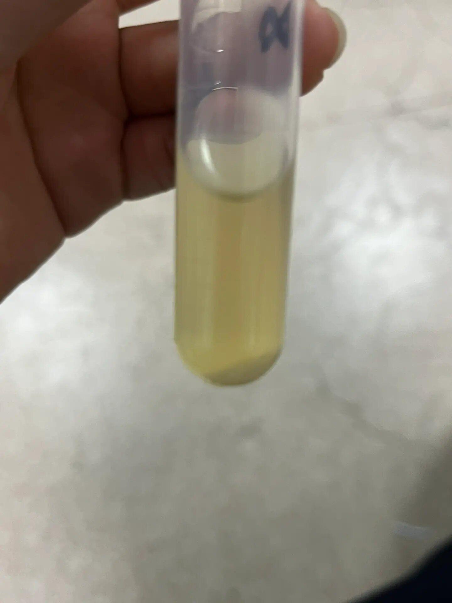 求问为什么摇菌会出现沉淀