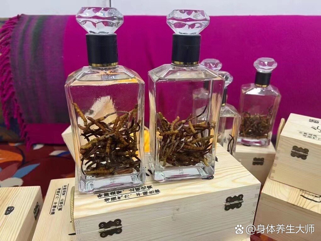 999虫草养生酒图片