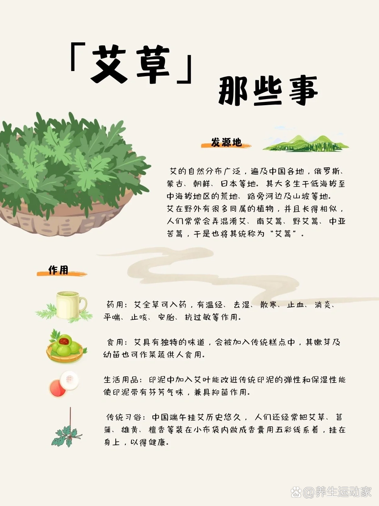 艾草生长过程图片