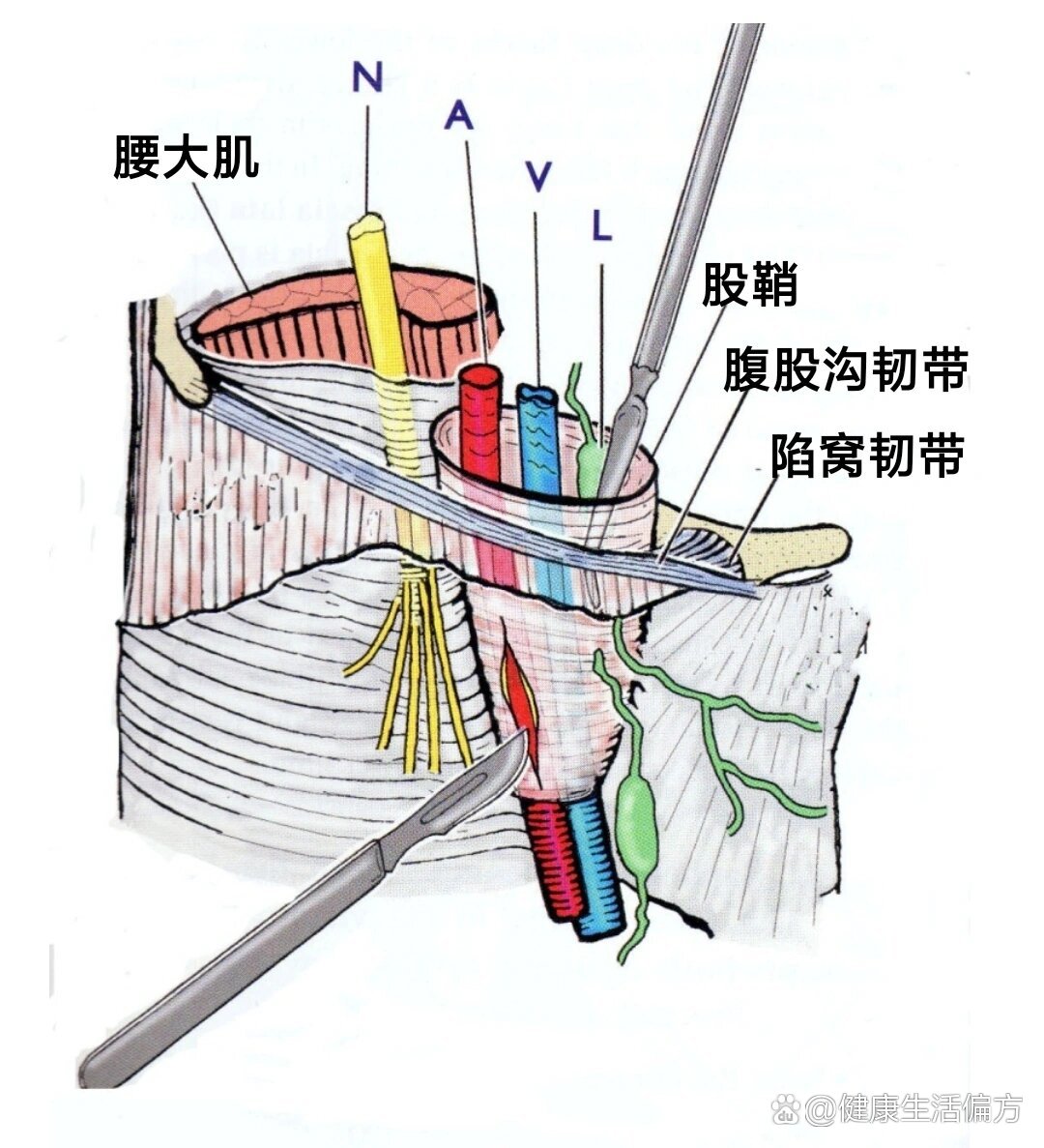 带隙，带隙计算公式
