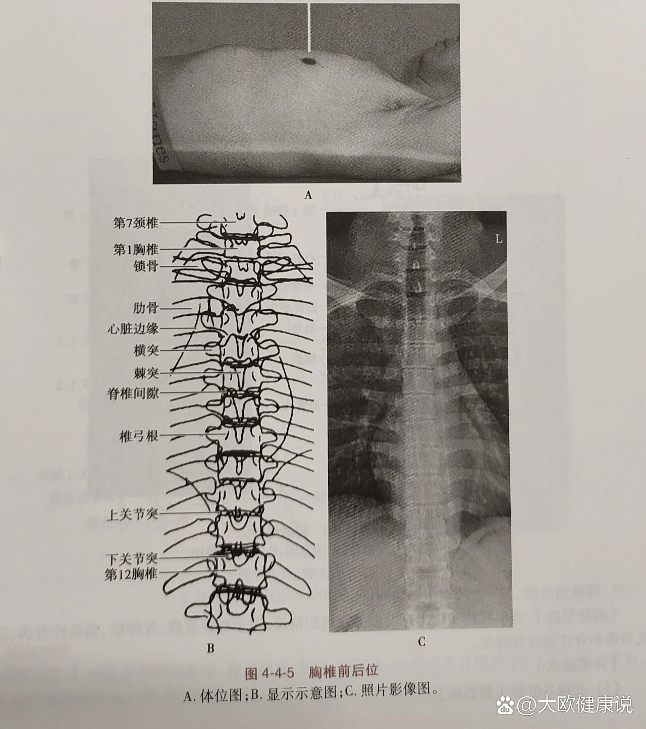 每日一记