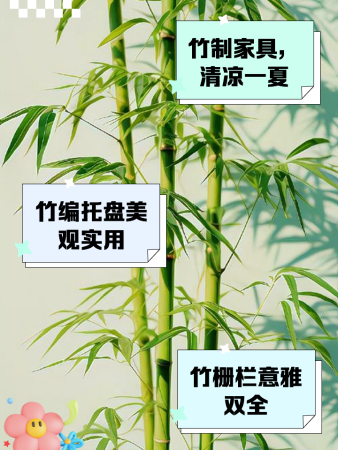 竹子有哪些用处