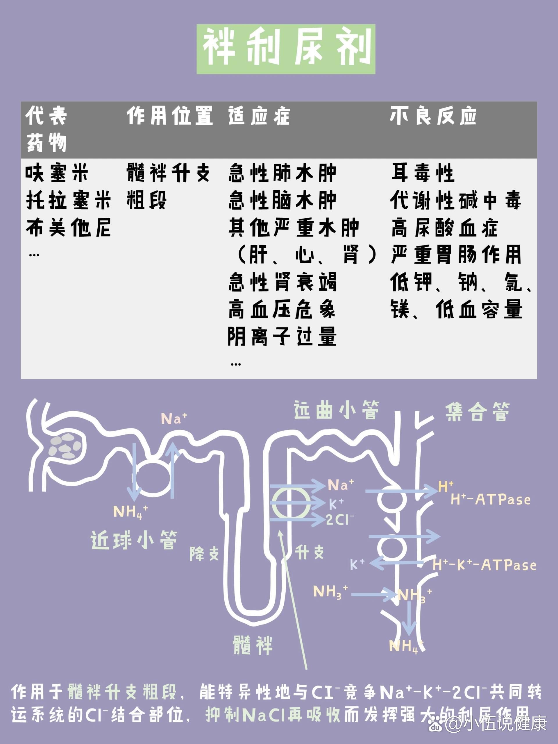 锁扣带袢钛板坏处图片