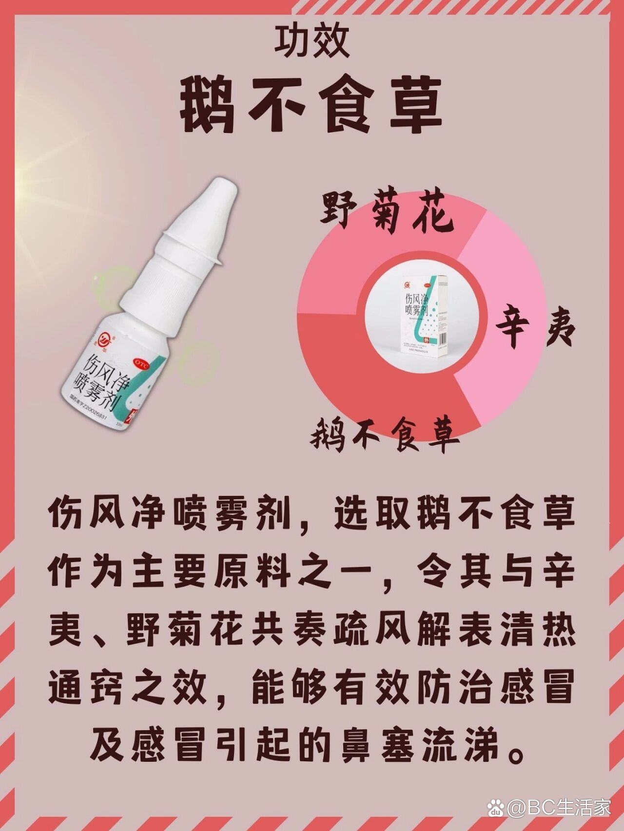 鹅不吃草治疗图片