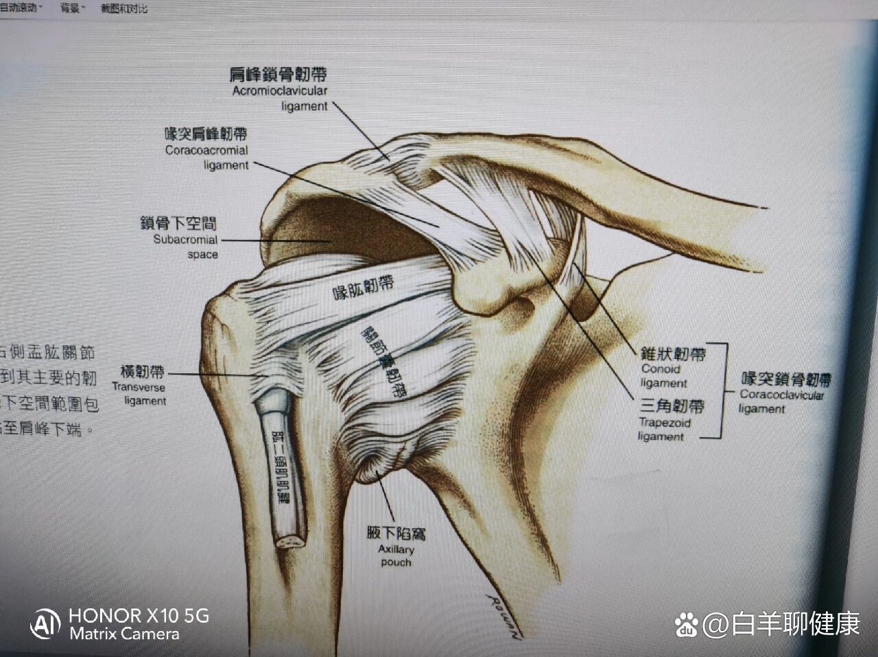 盂唇损伤症状图片