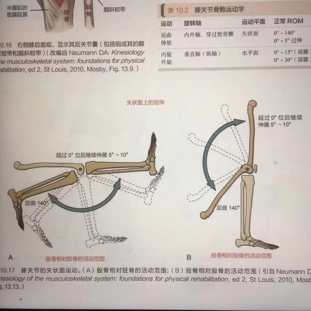 膝关节的屈伸运动图解图片