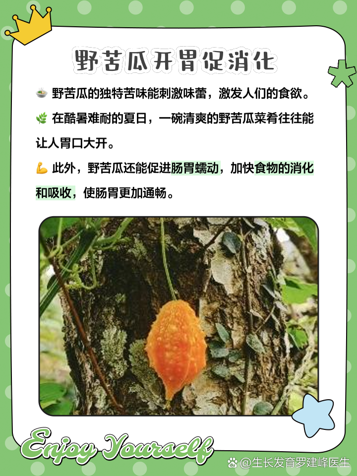 野苦瓜的作用与功效