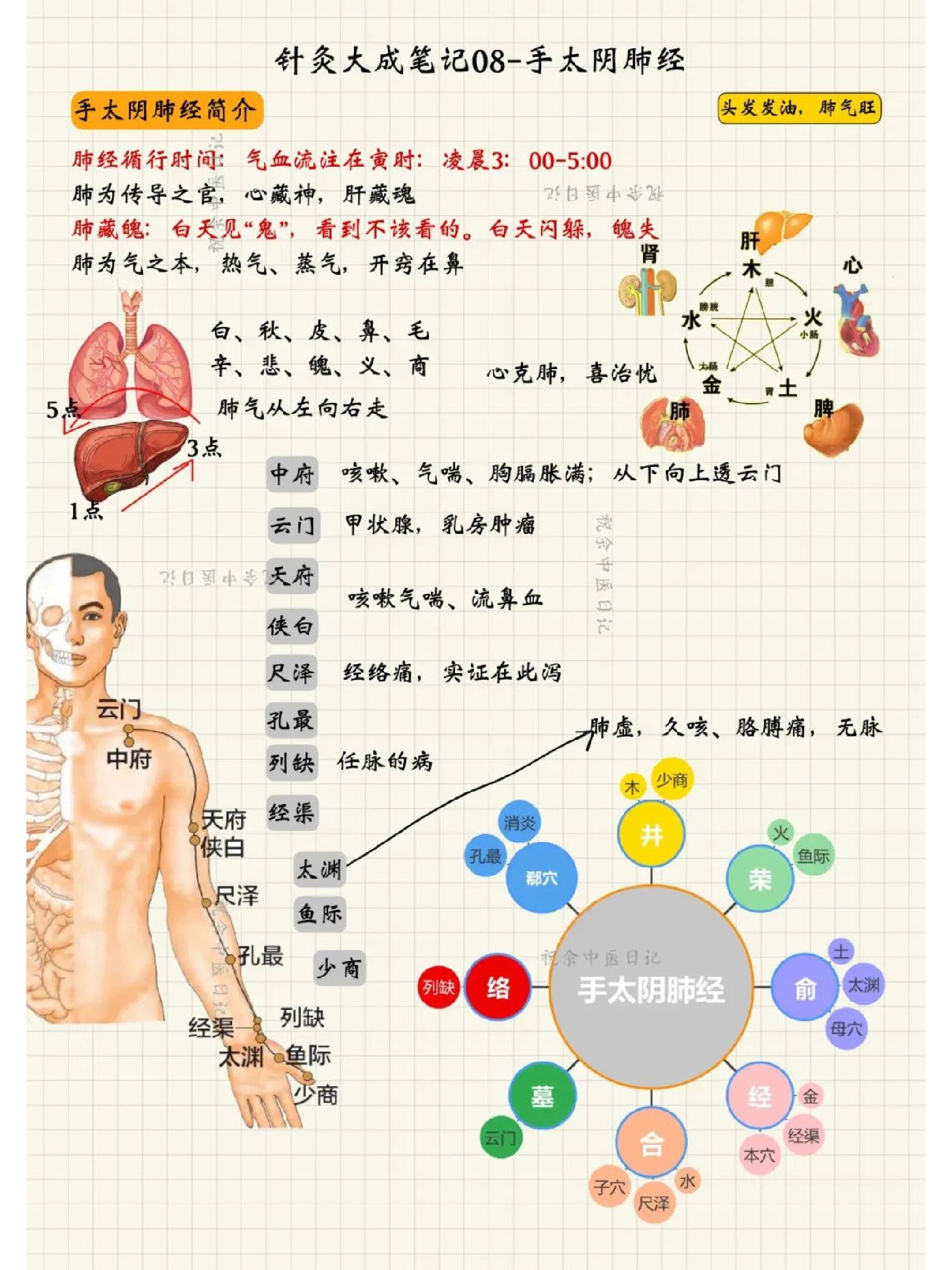 手太阴肺经循行歌诀