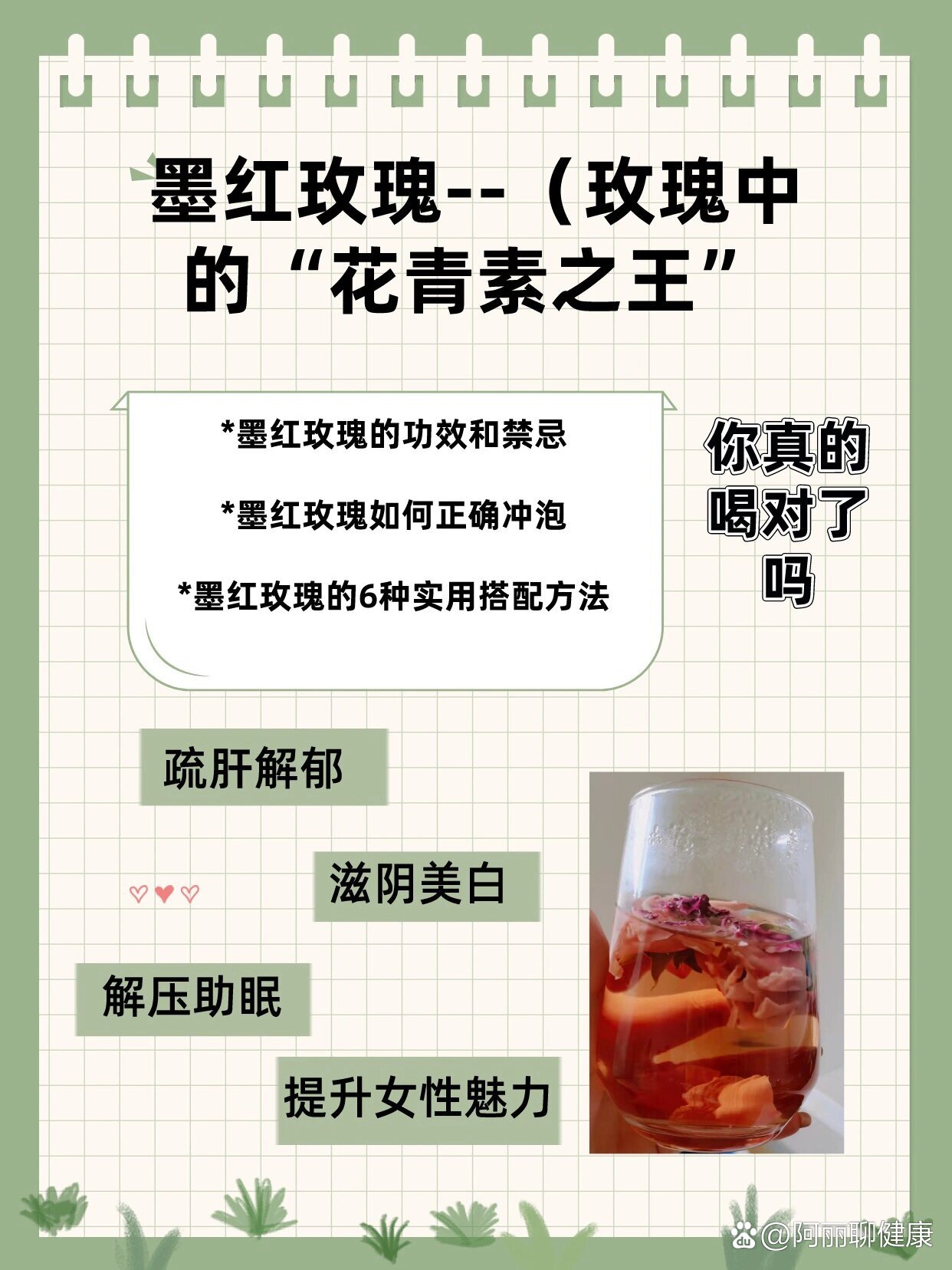 墨红玫瑰(玫瑰中的花青素之王),你喝对了吗