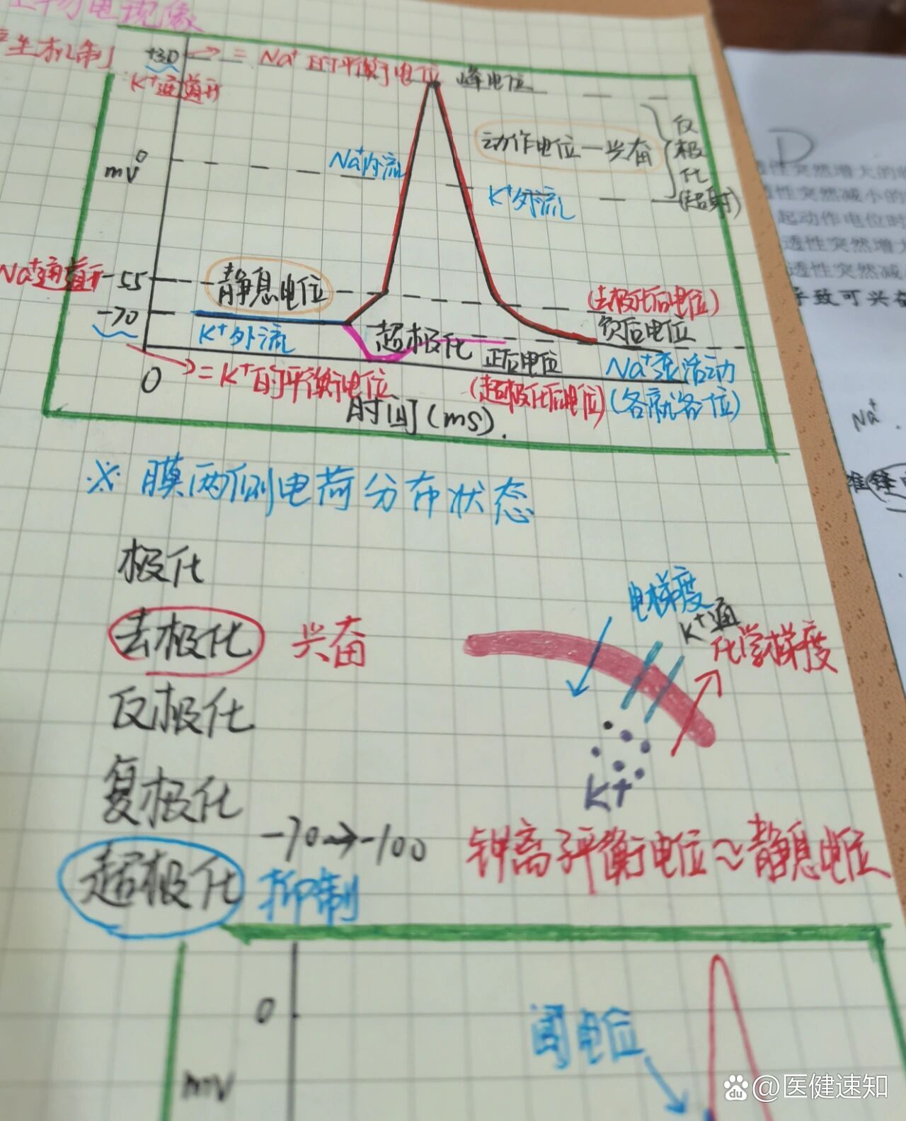 钠离子通道状态图解图片