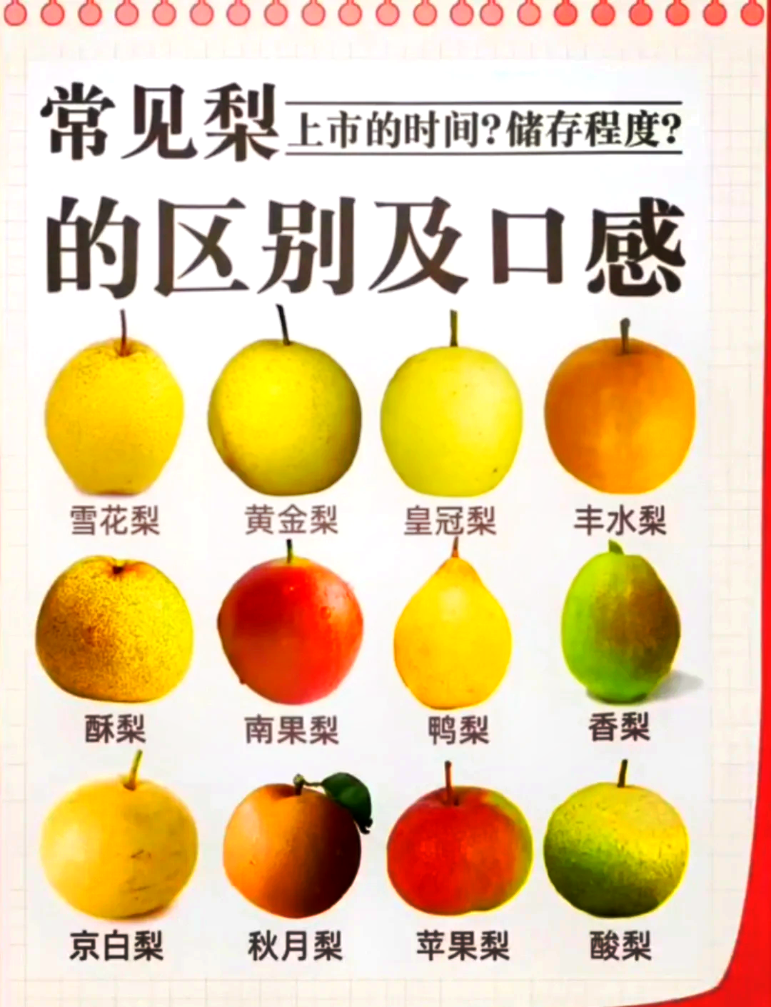 🍐一次掌握各种梨的口感与特色😋