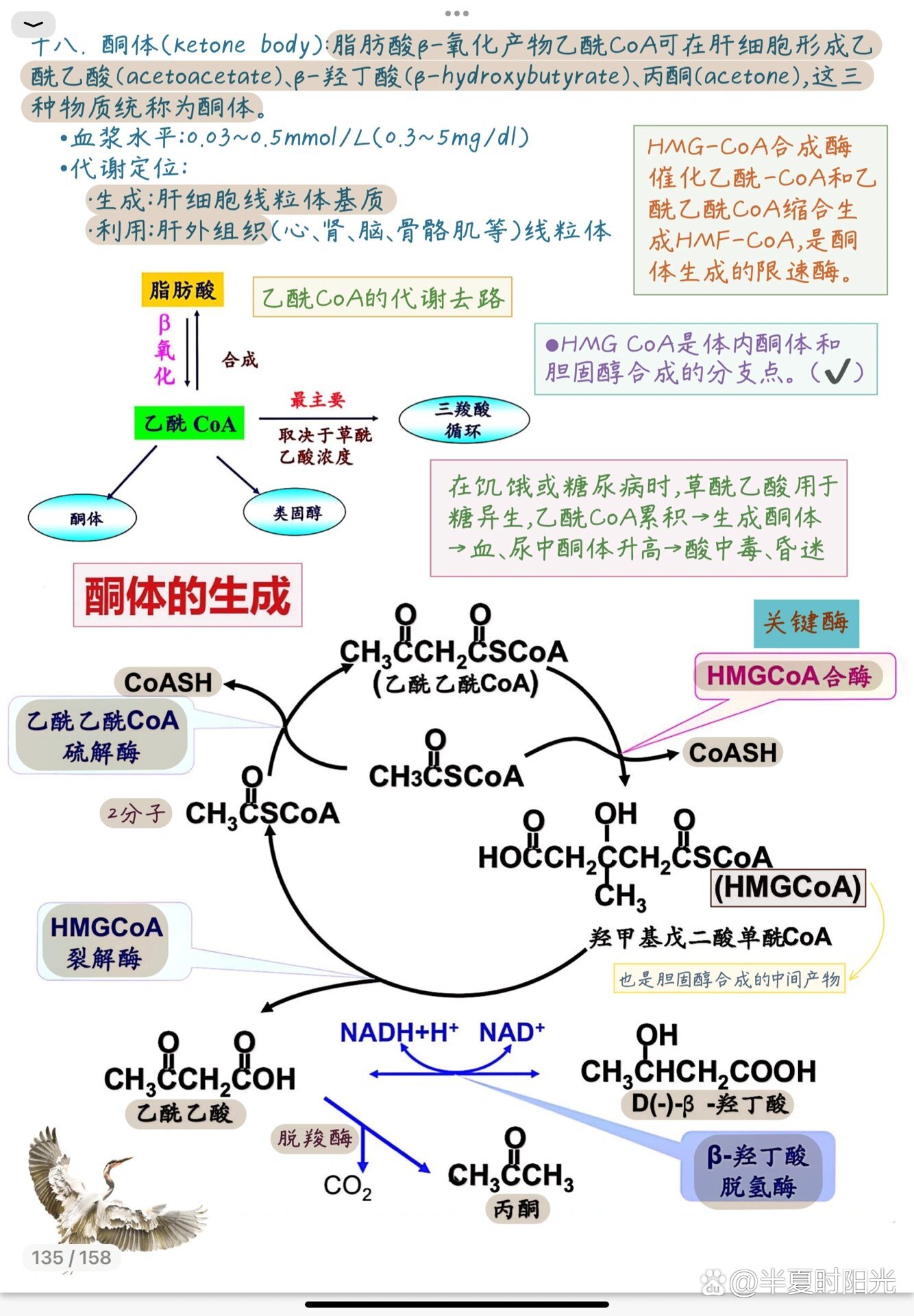 油脂分子式结构简式图片