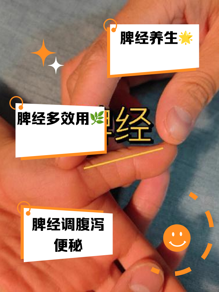 脾经的准确位置图作用功效