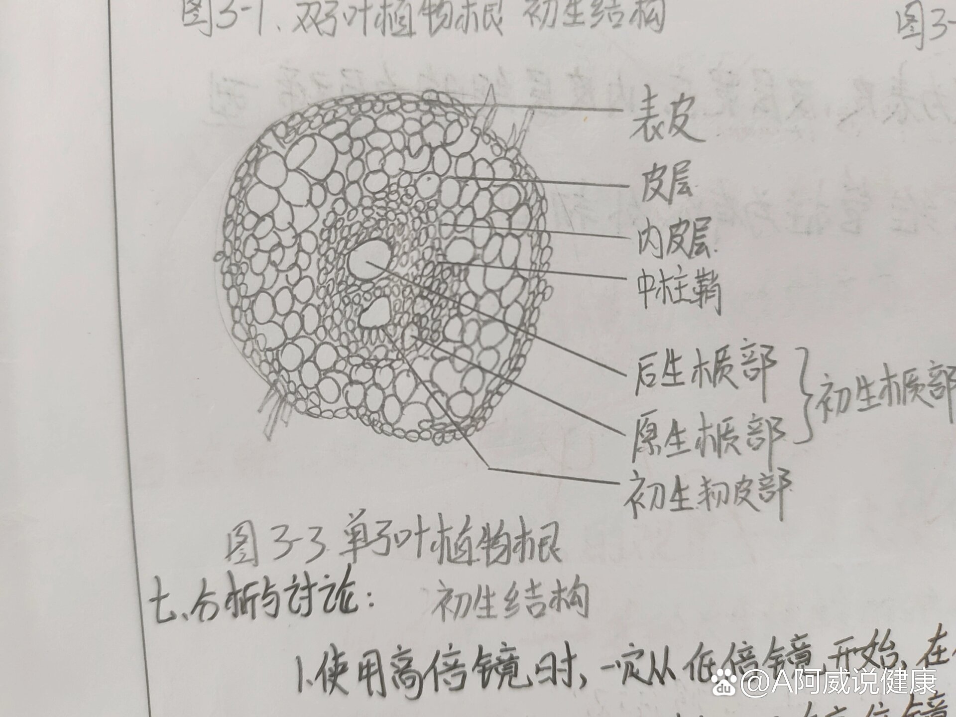 绘制原始结构图的步骤图片