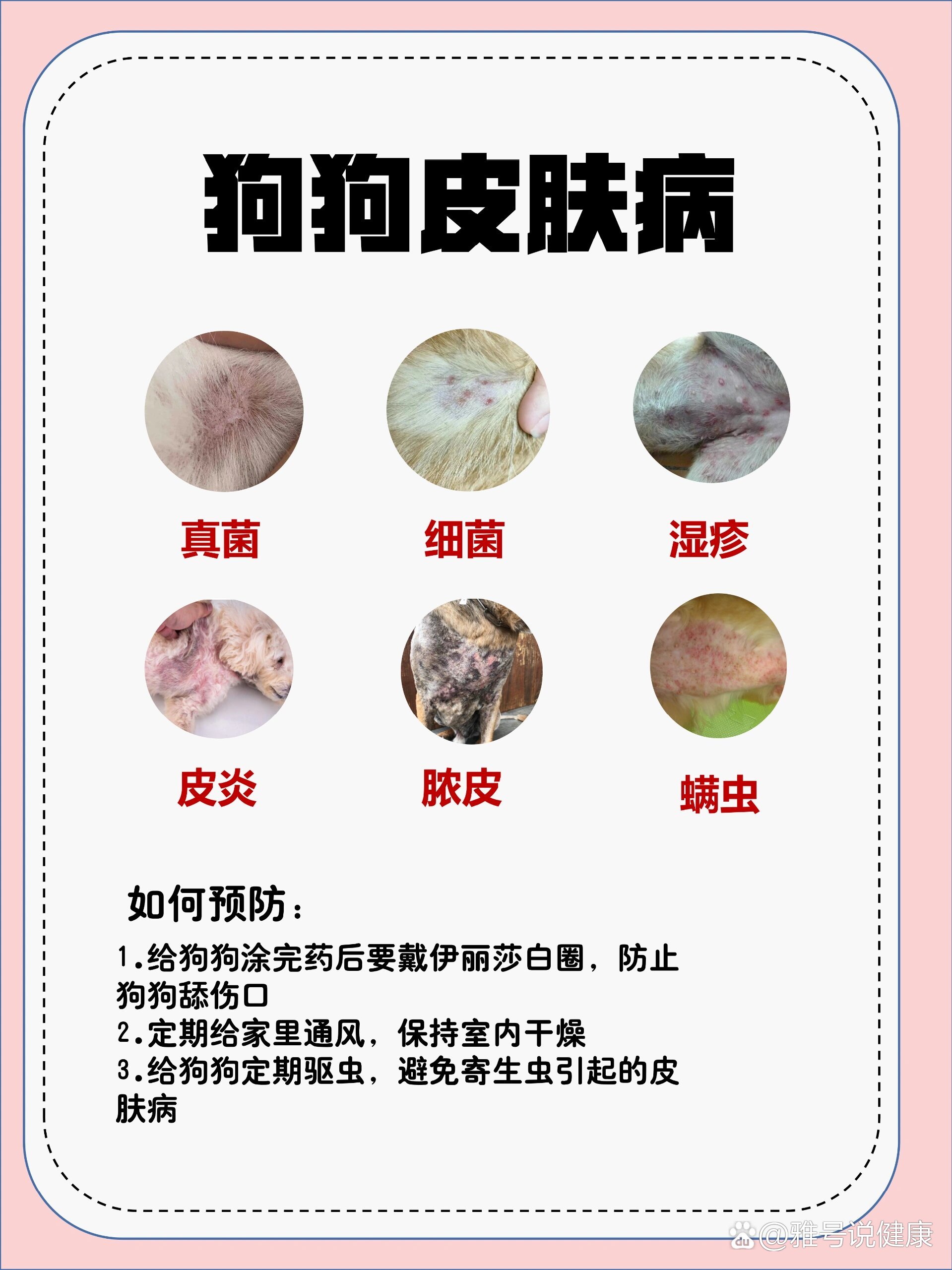 狗狗皮肤病,能救一个是一个!