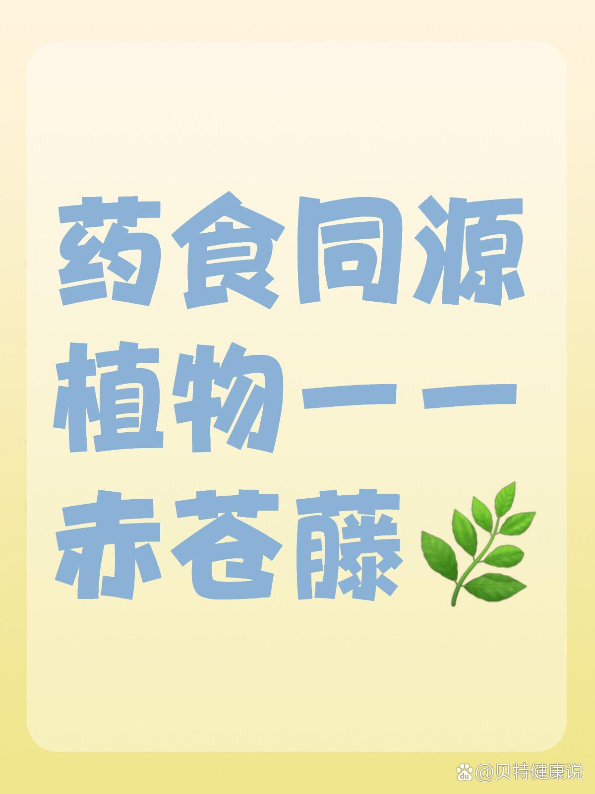 药食同源植物——赤苍藤