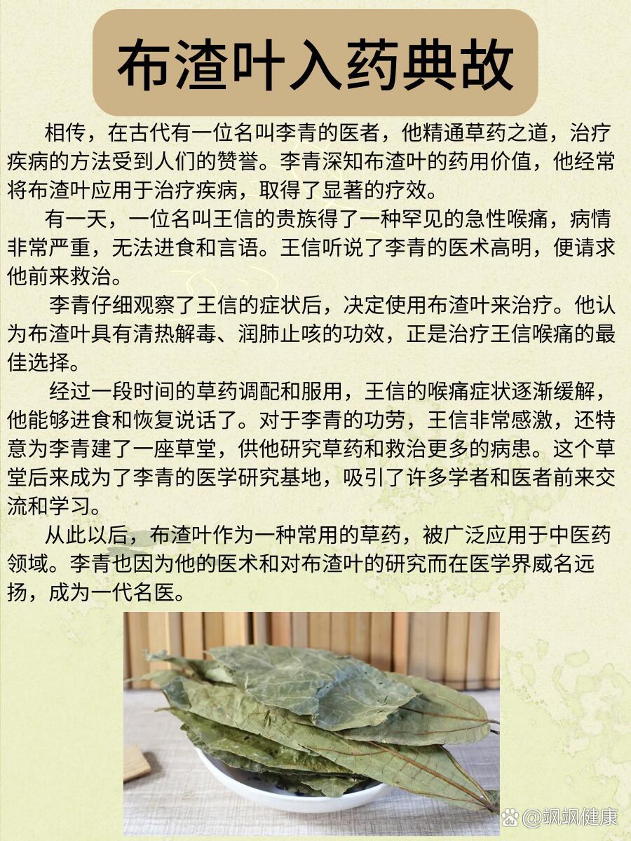 每天了解一味中草yao-布渣叶