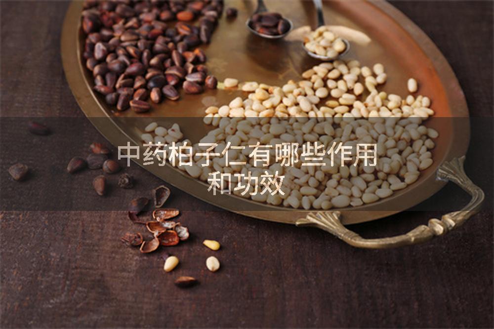 中药柏子仁有哪些作用和功效