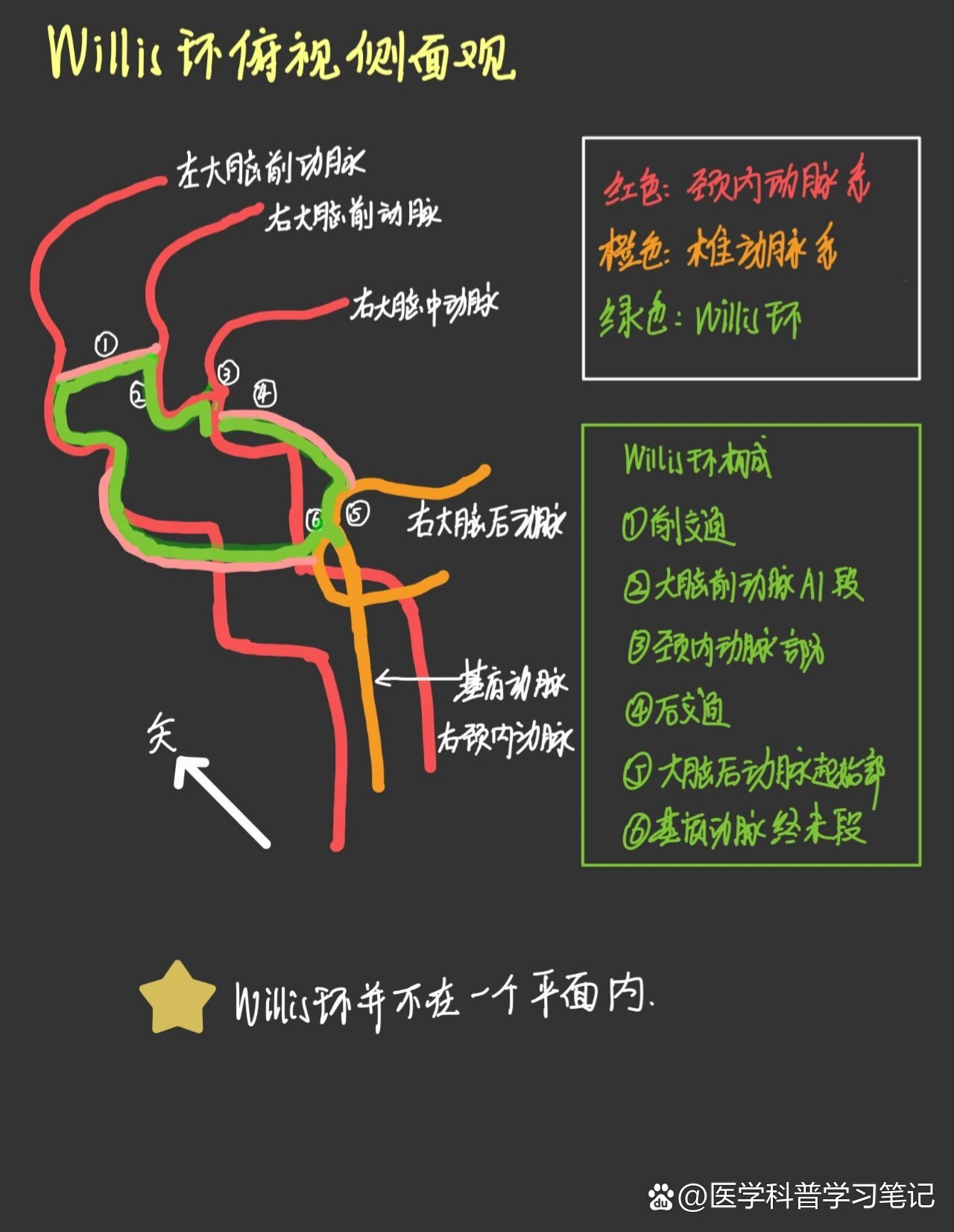 9499一图看懂willis环