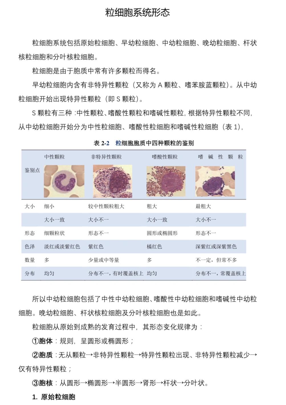 中性杆状核粒细胞形态图片