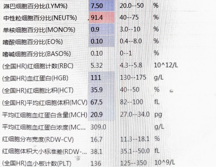 珠蛋白生成障碍性贫血图片