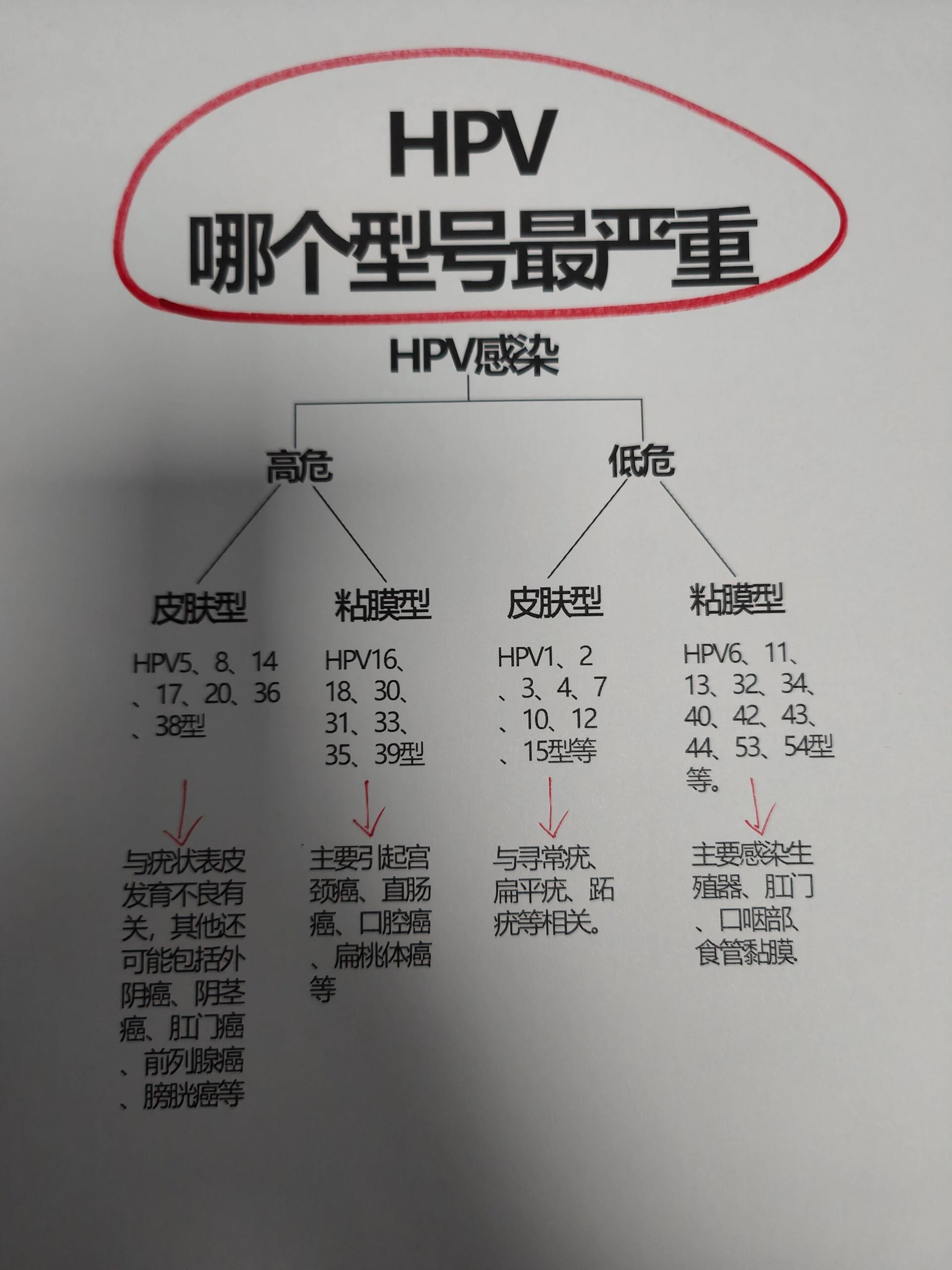 hpvdna图片