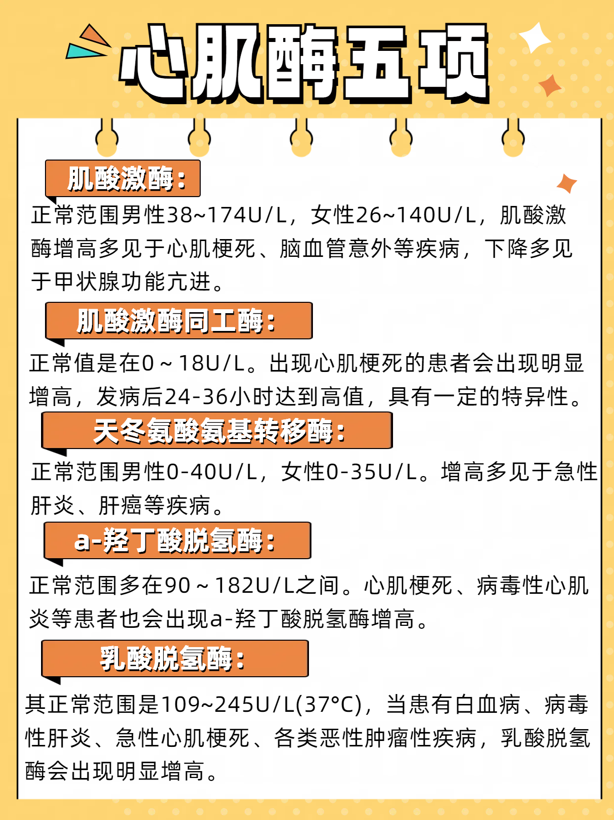 心肌酶 全网资源