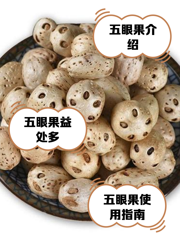 五眼果简介