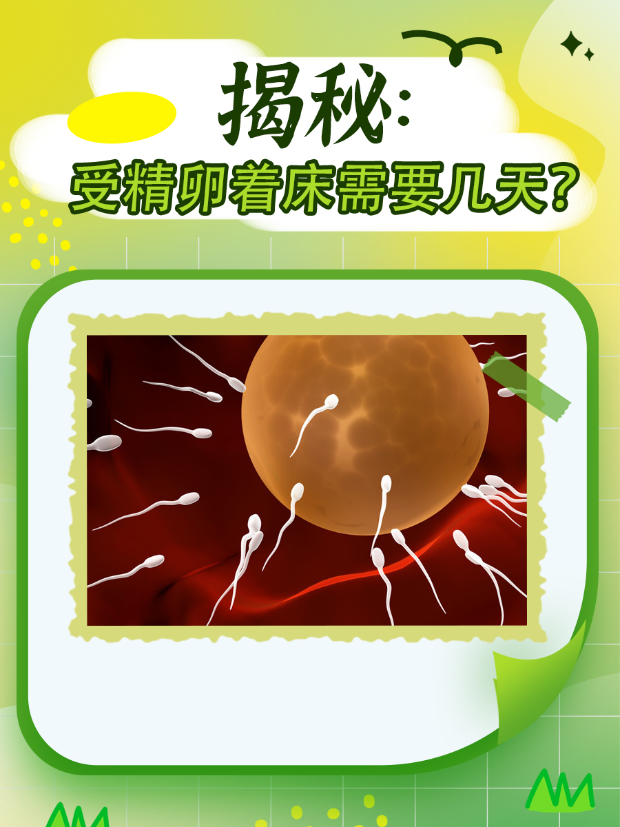 揭秘:受精卵着床需要几天?