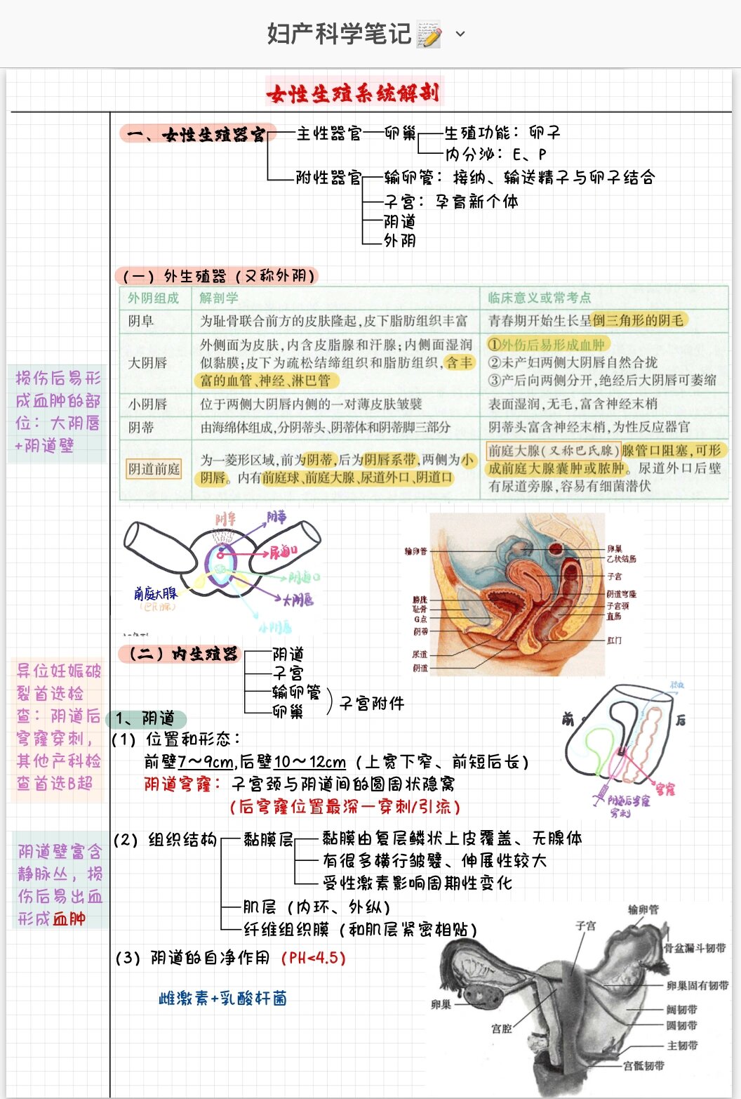 子宫角在哪个位置图片图片