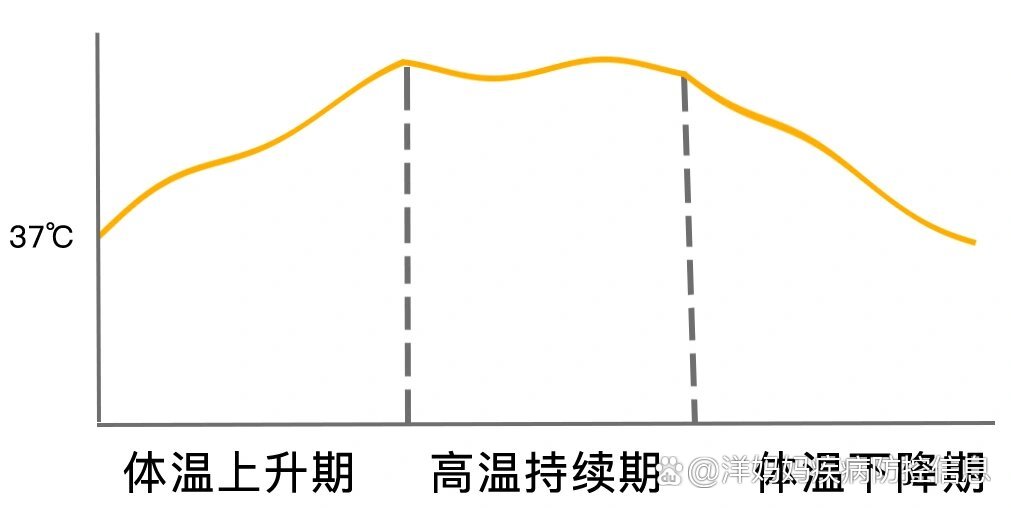 发烧该捂还是该晾?