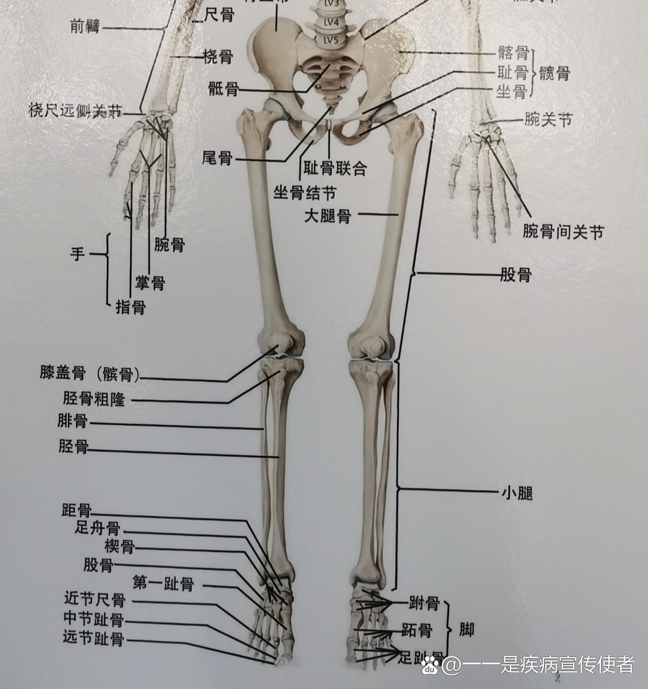 都给我过来看