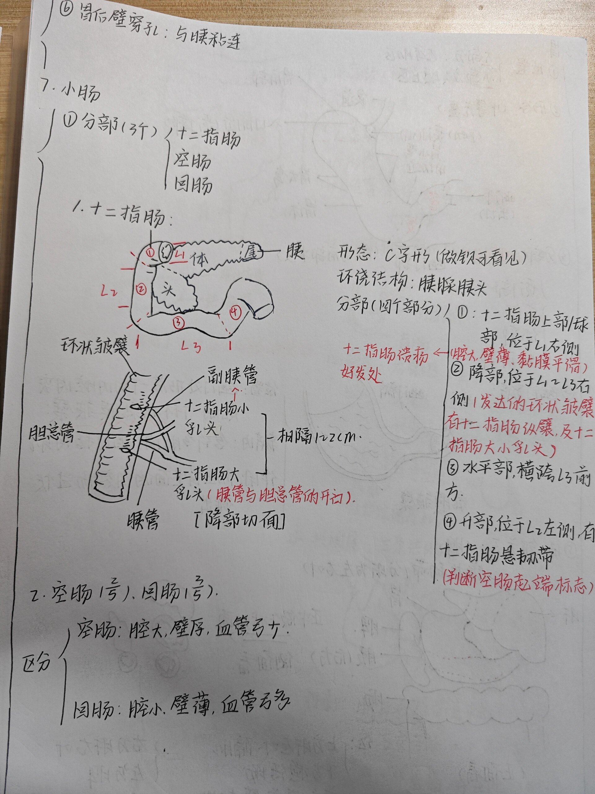 解剖列车笔记26讲图片