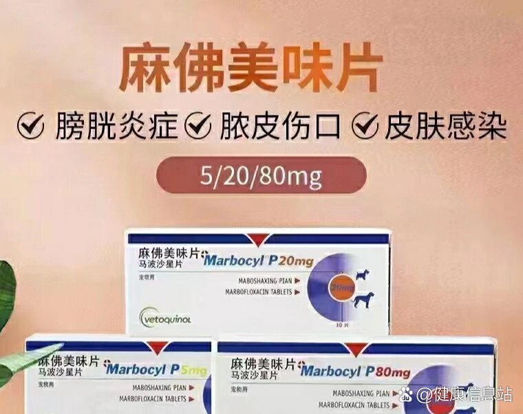 犬猫呼吸道尿路感染脓皮症 br>法国9193威隆麻佛微素表皮及深层脓