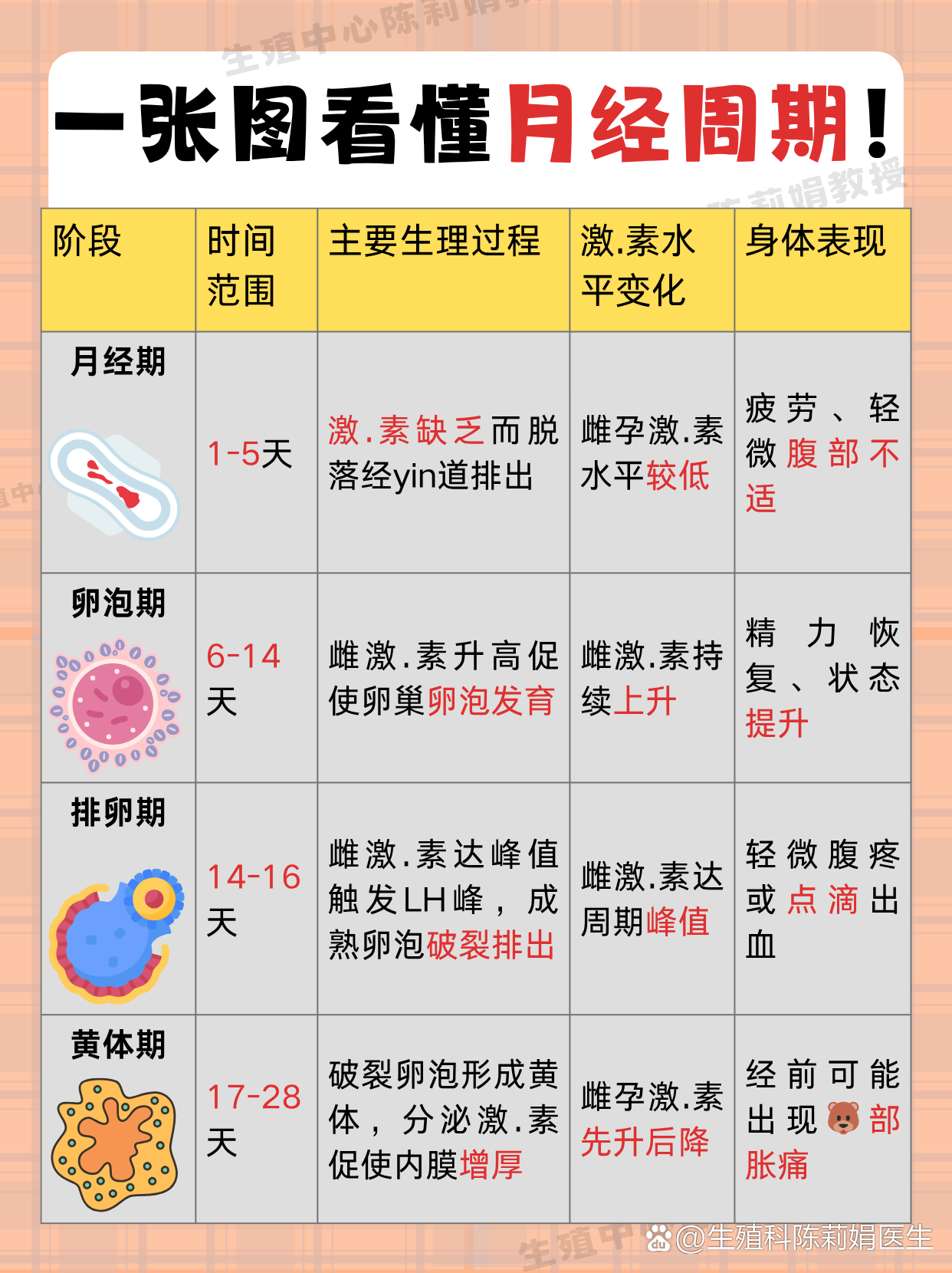 📊一张图看懂月经周期！