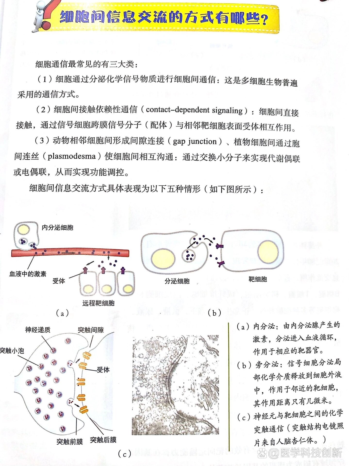 细胞间信息交流方式图图片