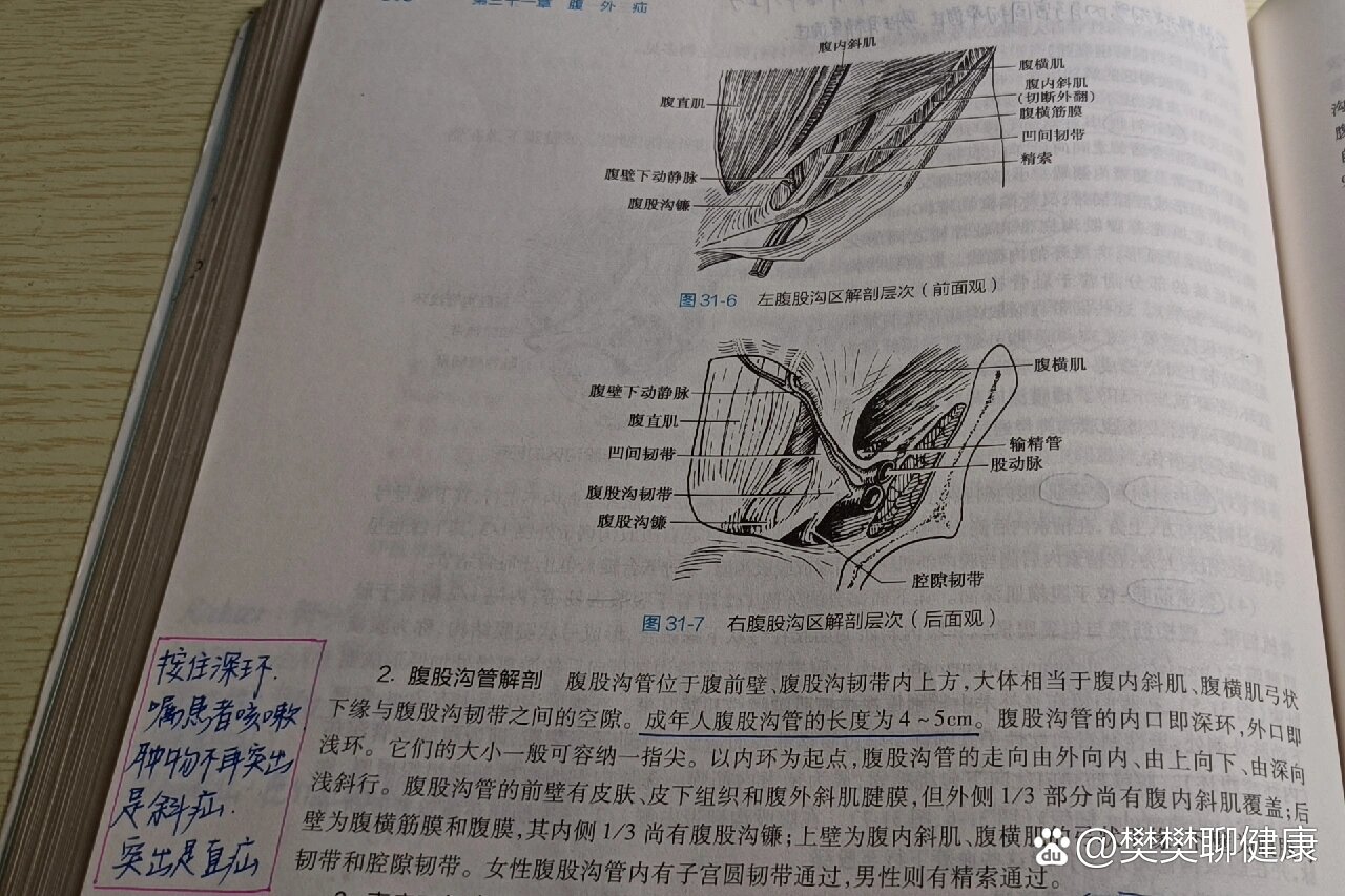  br>两口:深环(内口):深环位于腹股沟中点上方2cm处  br>浅环(外口)