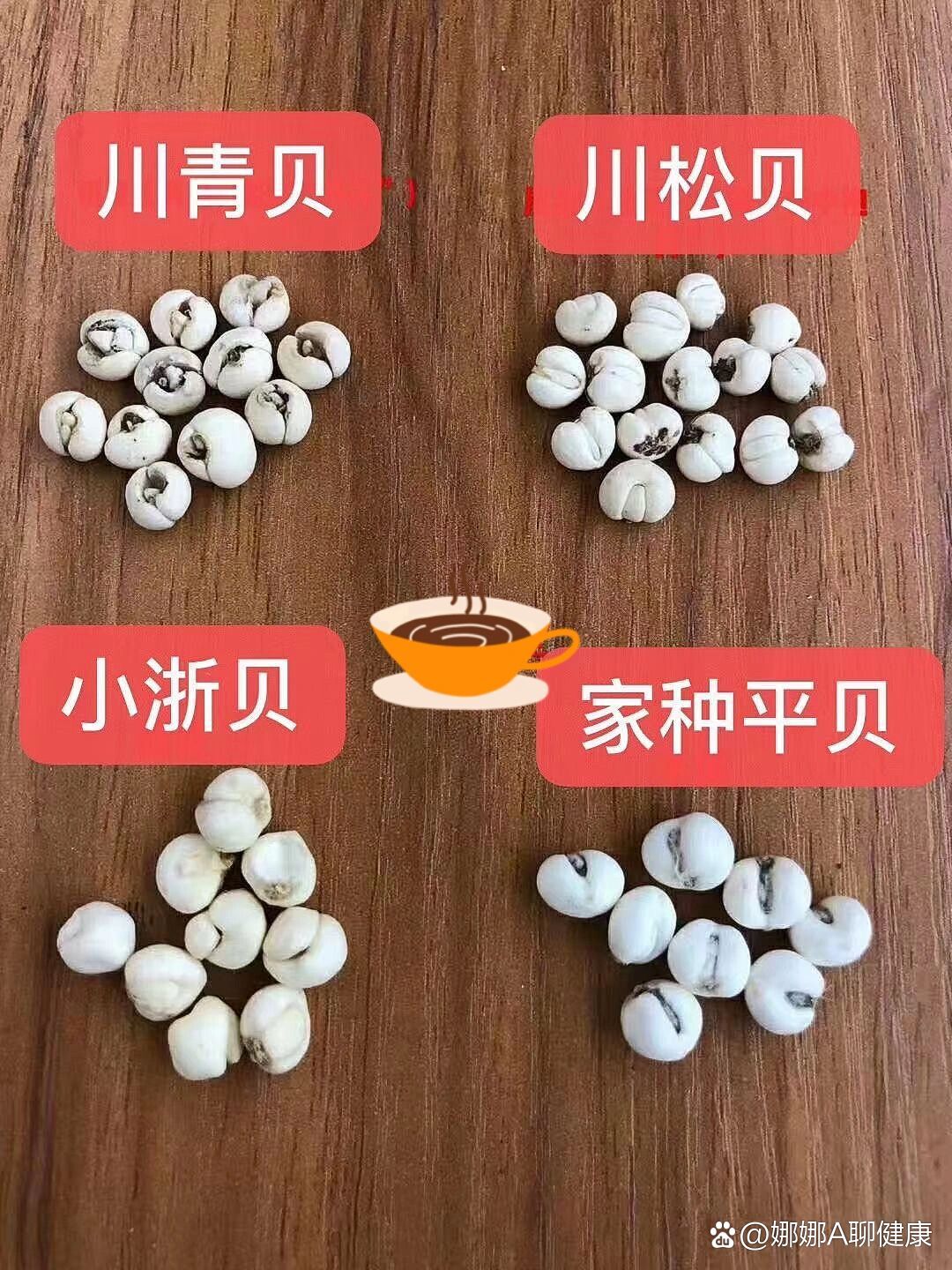 如何分辨真假川贝?