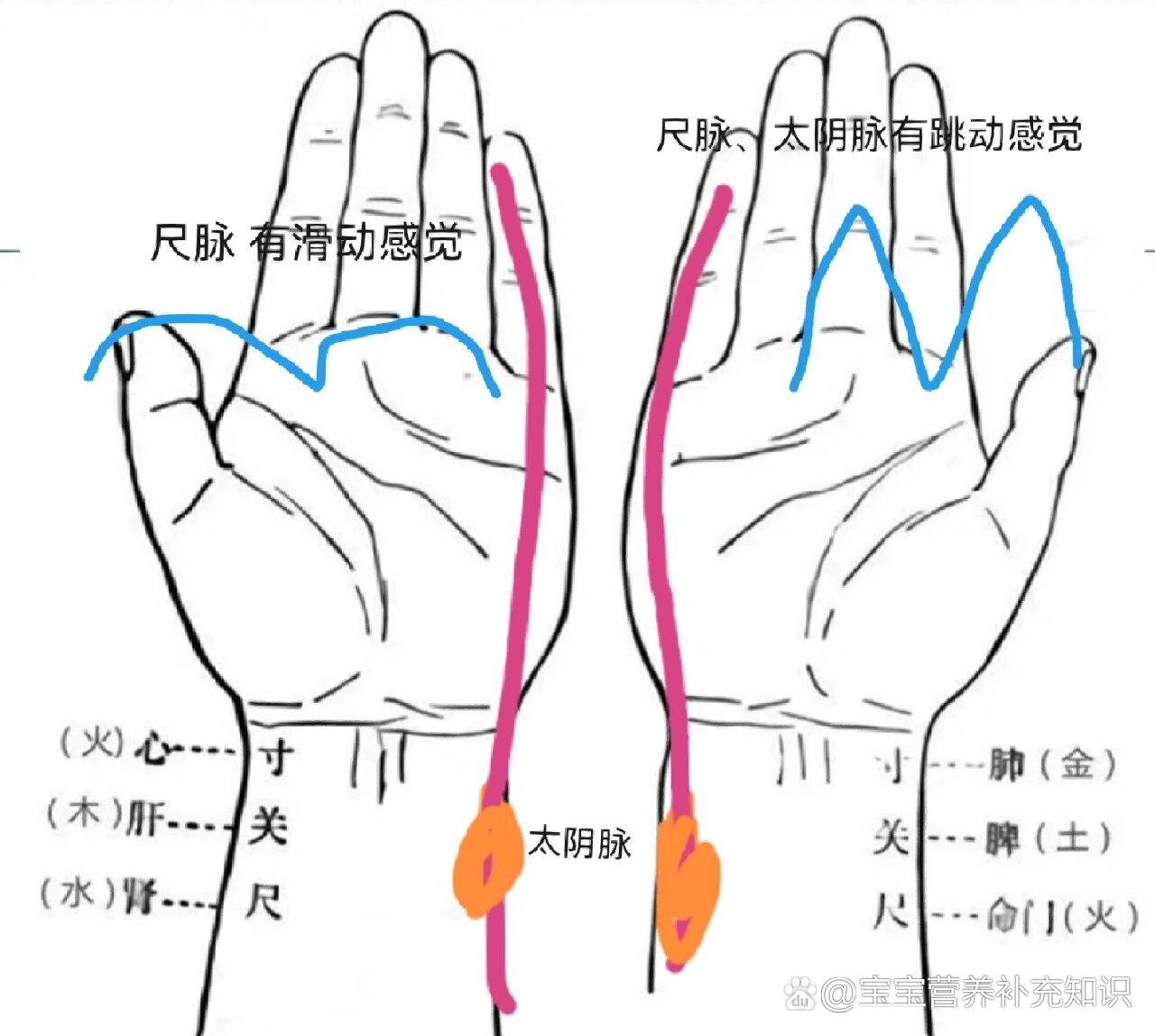 >自从把学的经验告诉"他",然后每晚睡觉前都要替我把脉才安心睡觉 br>