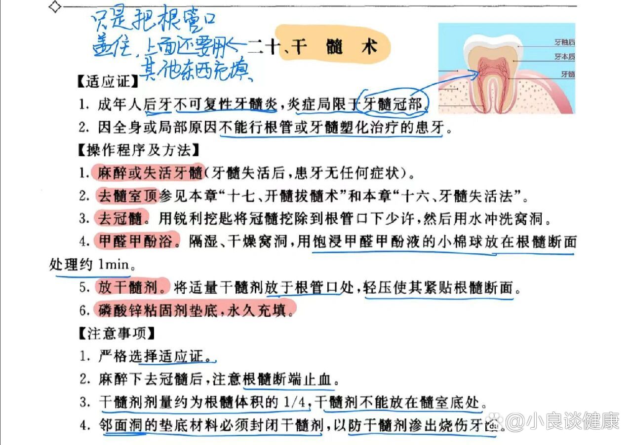 延髓作用图片