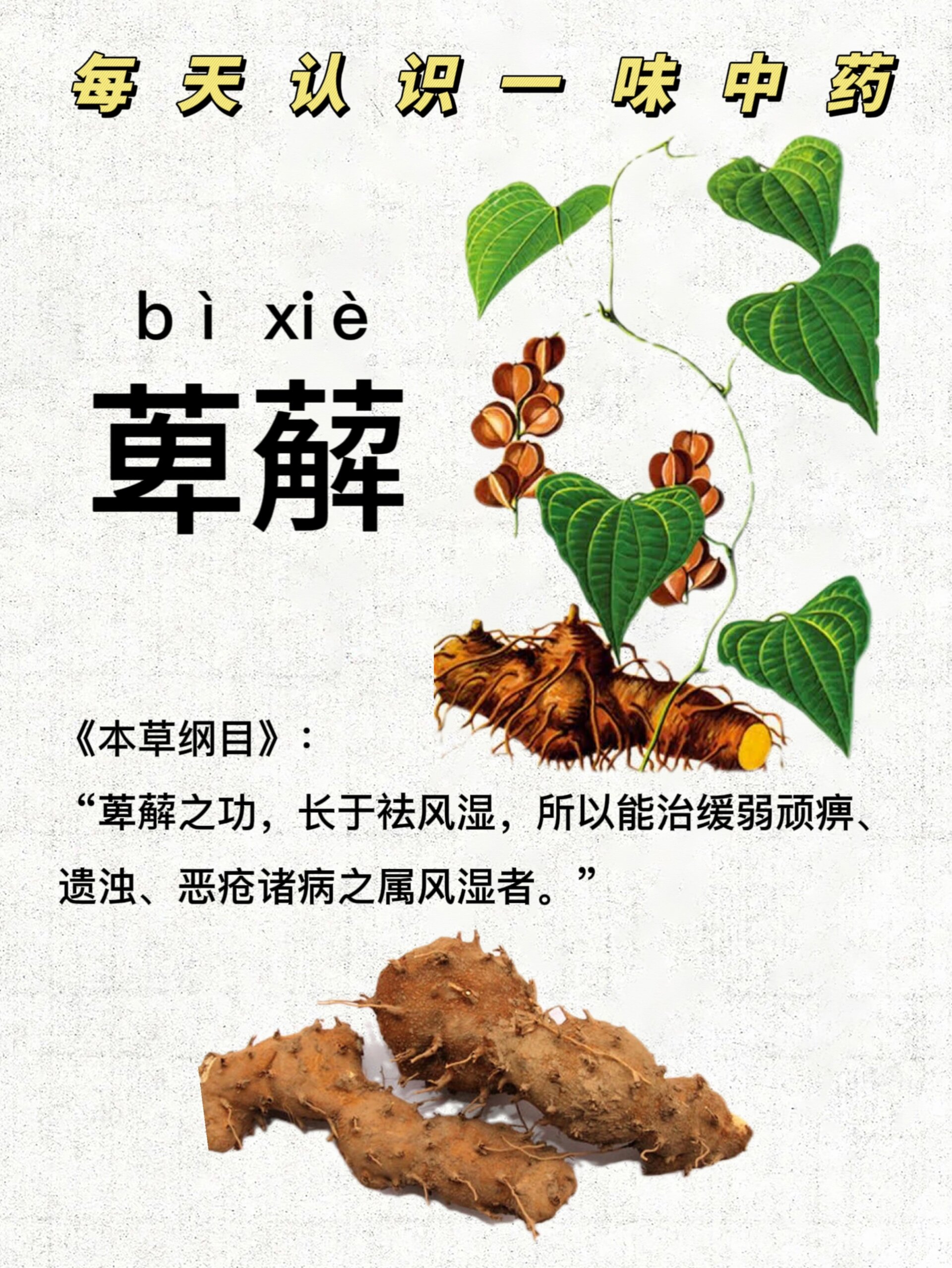 萆薢化毒汤图片